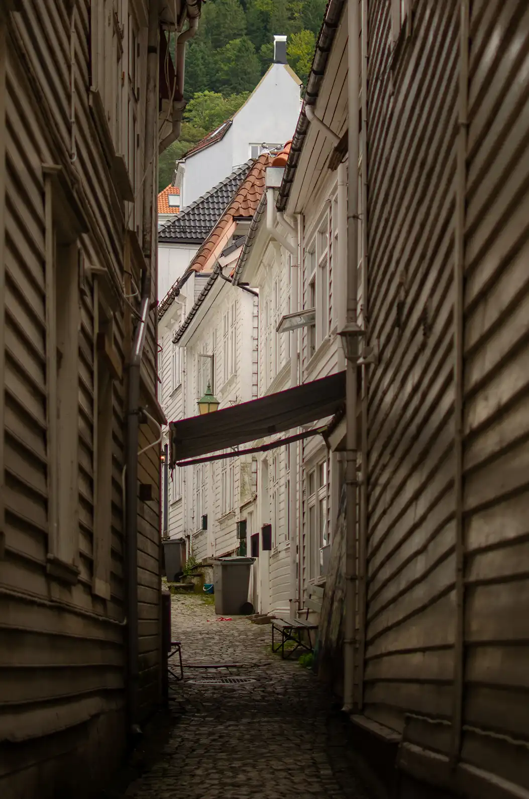 europe du nord/Europe du nord-092-3264 x 4928.webp